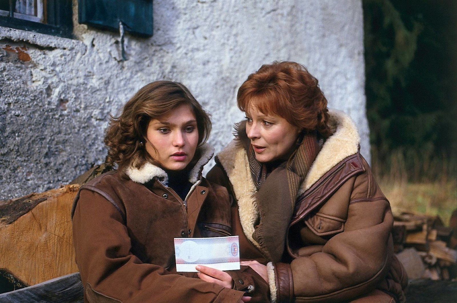 Waldhaus - Die komplette ZDF-Serie in 19 Teilen (Fernsehjuwelen)  [8 DVDs]  (DVD)