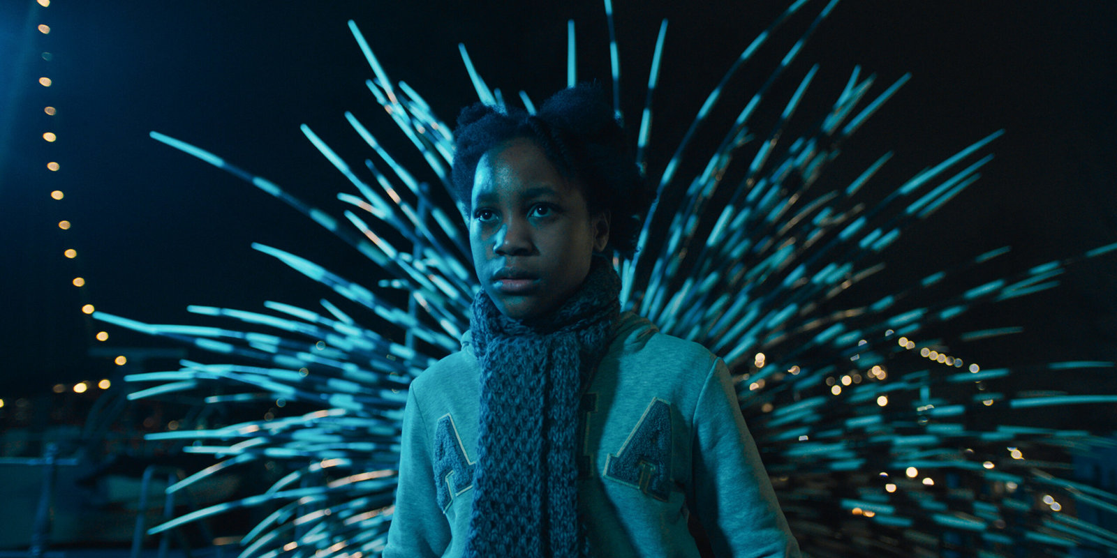 Mein Totemtier und ich  (DVD)