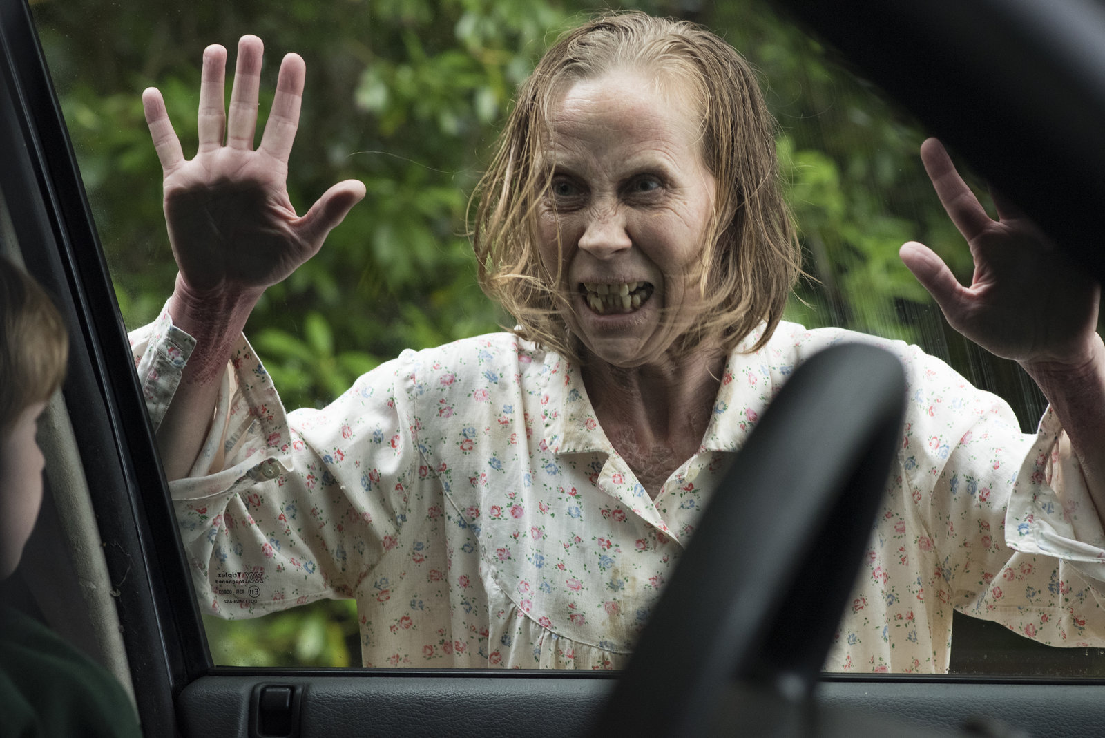 Hole in the Ground, The (blu-ray)