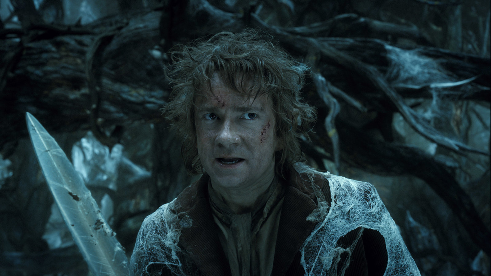 Hobbit, Der: Smaugs Einöde (blu-ray)