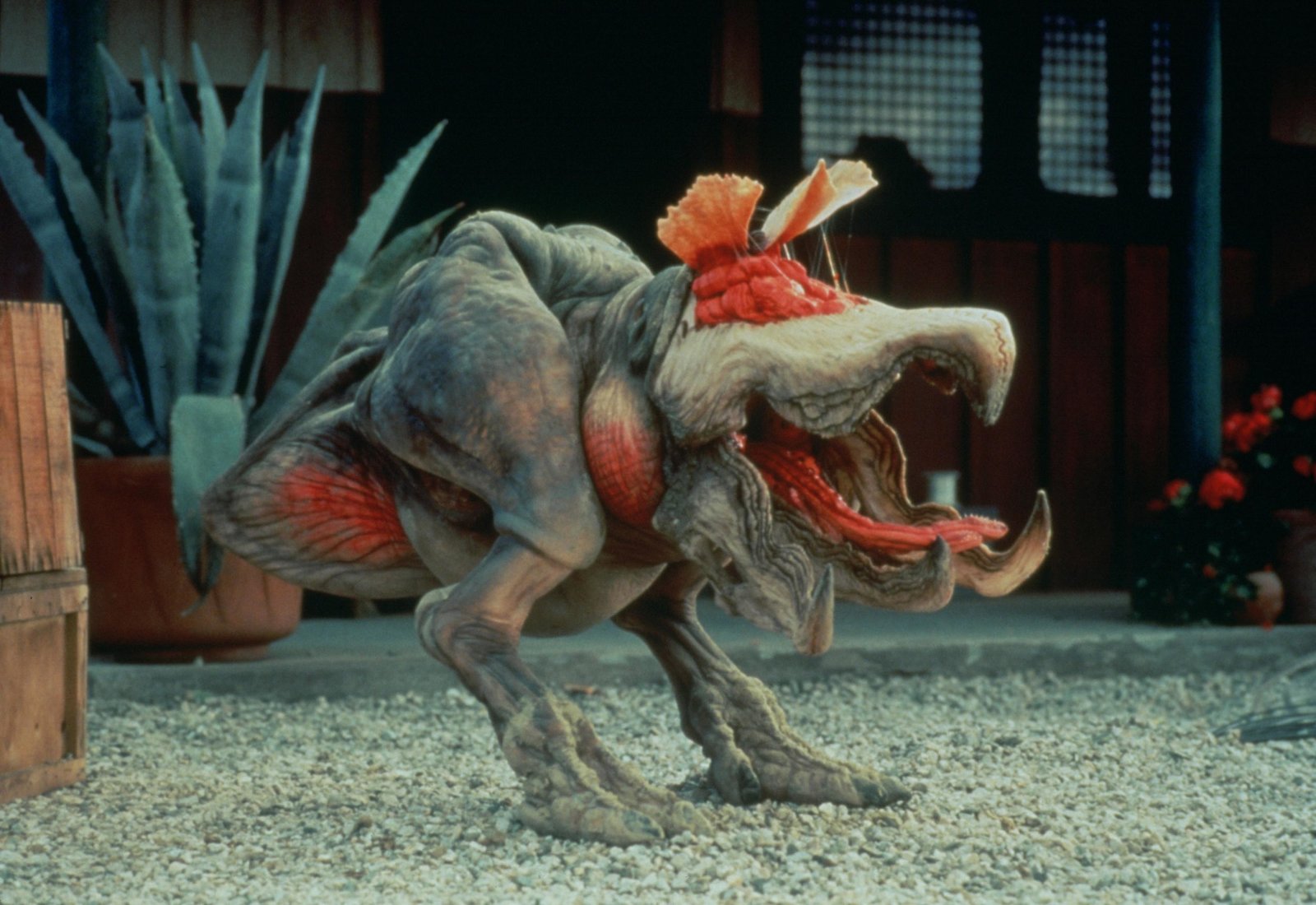 Tremors 1-7 Movie Collection  (DVD)