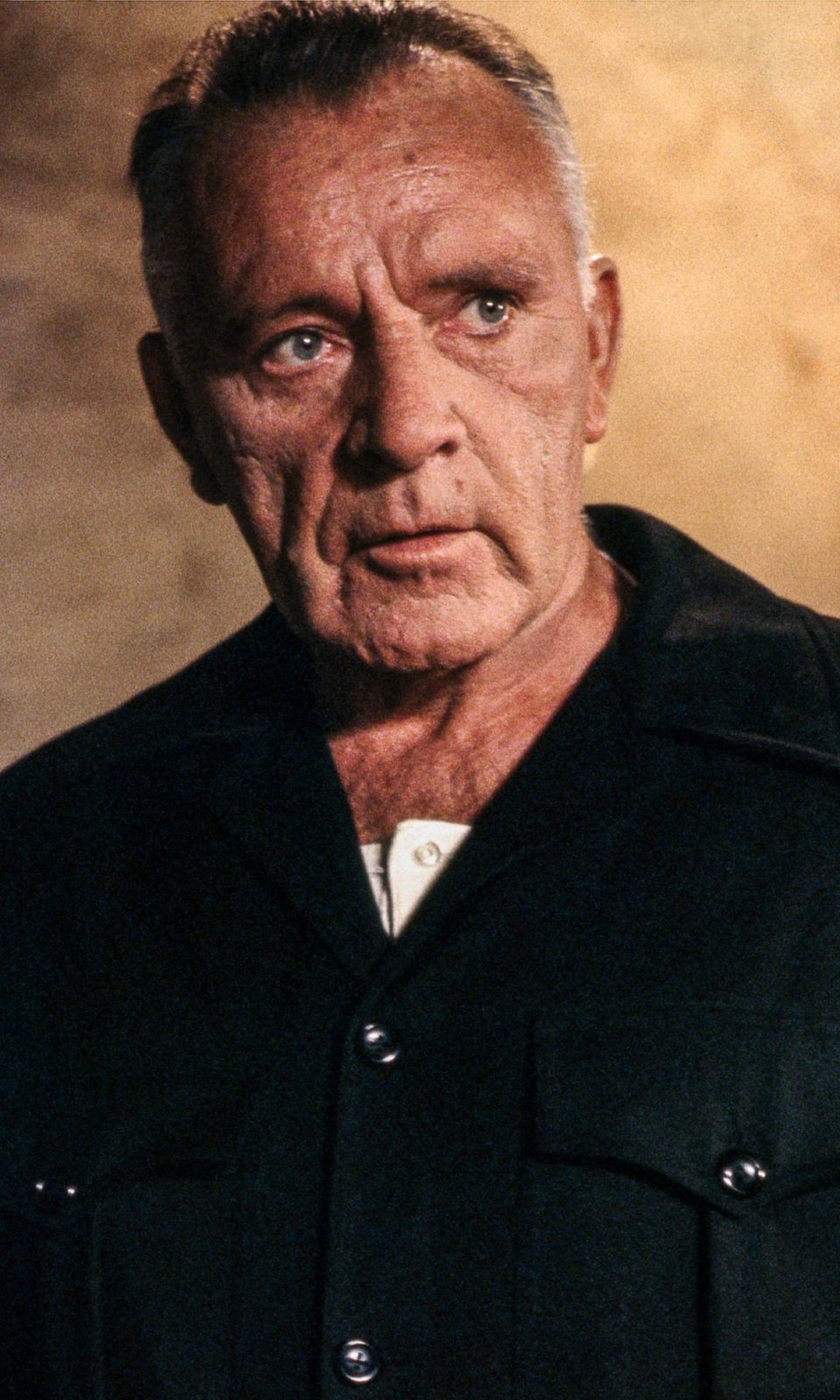 1984 (Blu-ray) 1984 (Blu-ray)