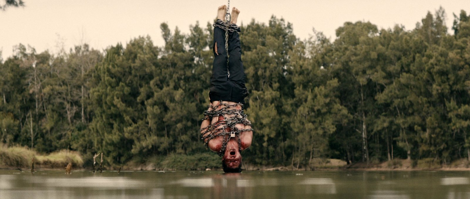 Skinford  (Blu-ray Disc)