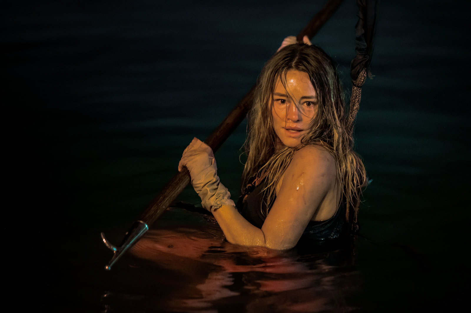 Dangerous Animals  (Blu-ray Disc)