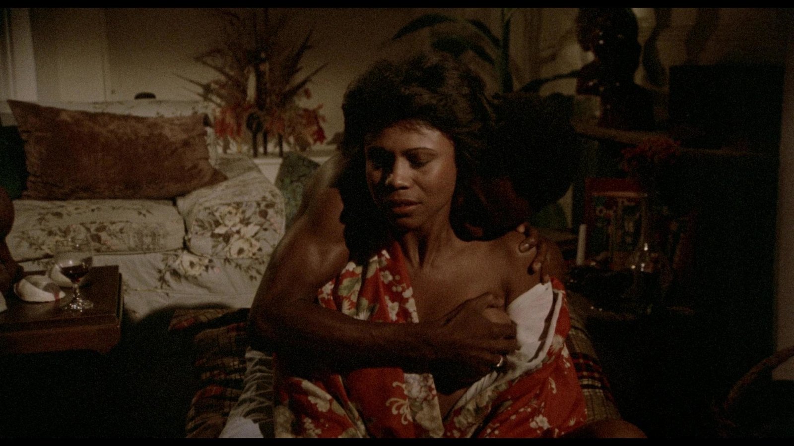 J.D.s Revenge - Black Cinema Collection (DVD+blu-ray)