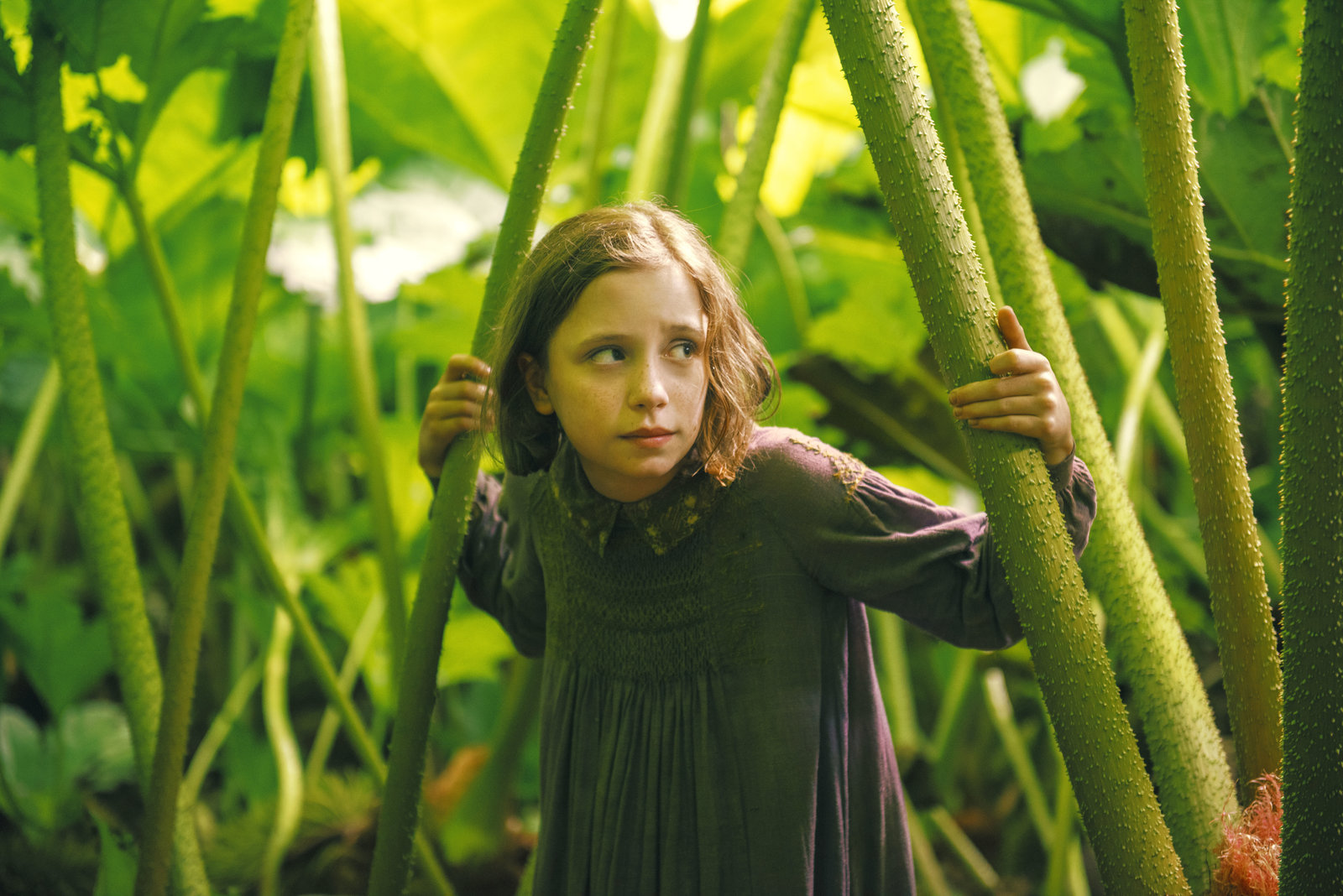 Geheime Garten, Der (blu-ray)