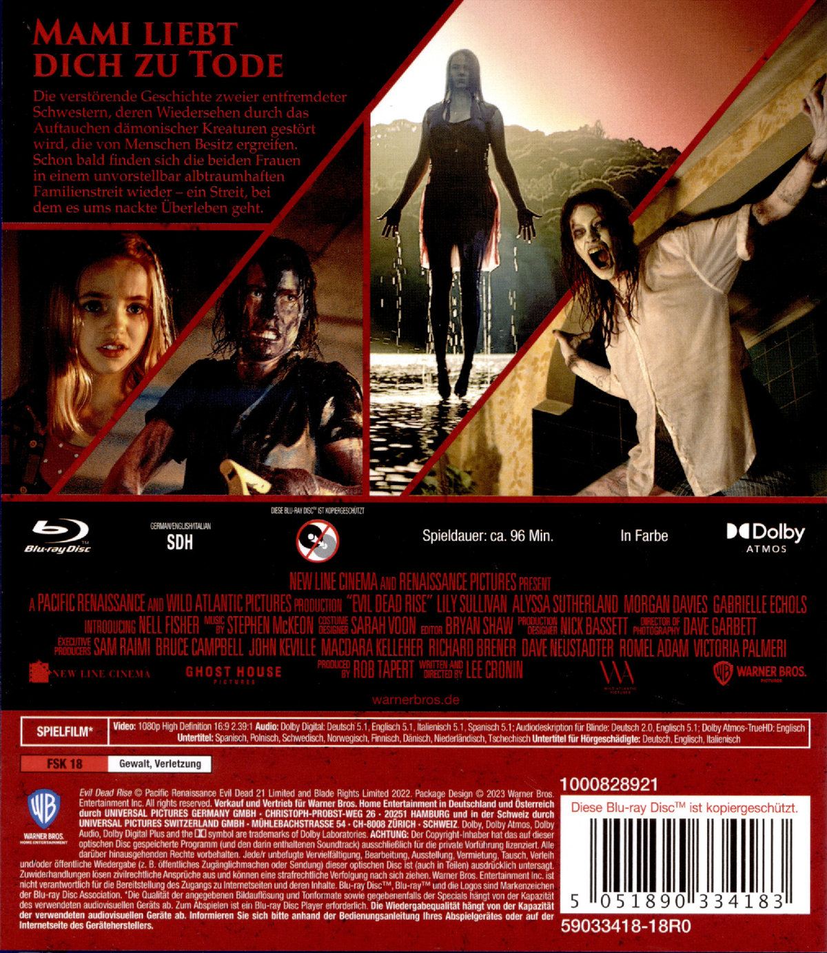 Evil Dead Rise  (Blu-ray Disc)