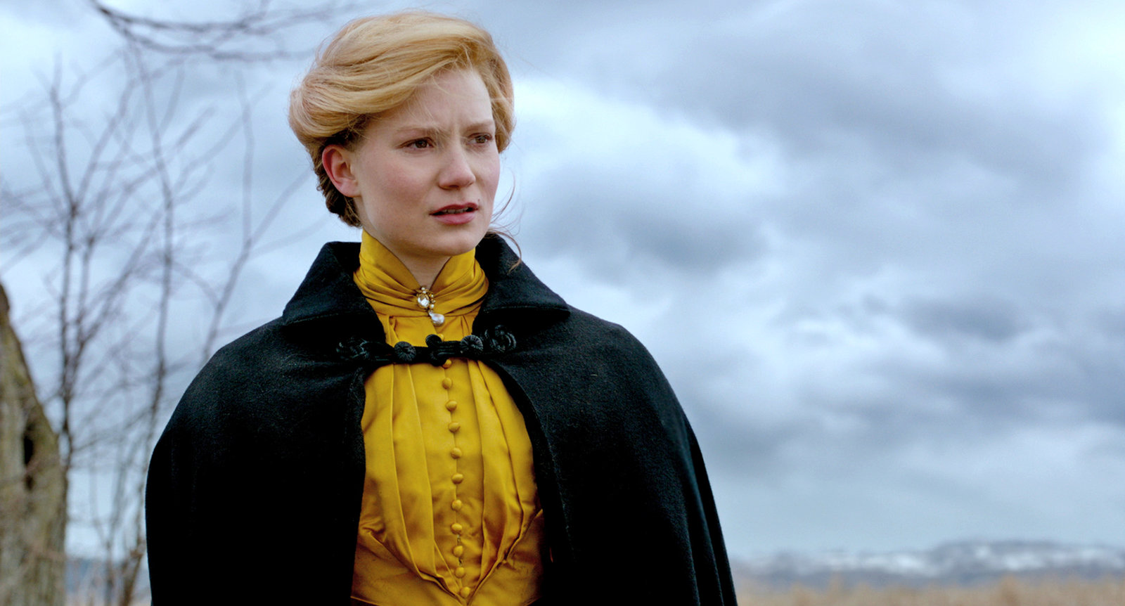 Crimson Peak  (Blu-ray Disc)