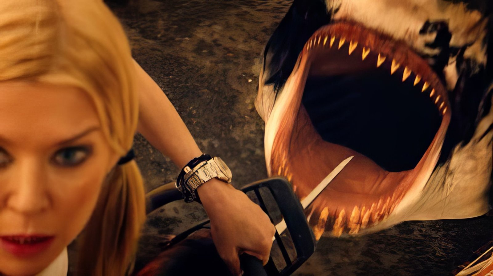 Shark Shock  (DVD)