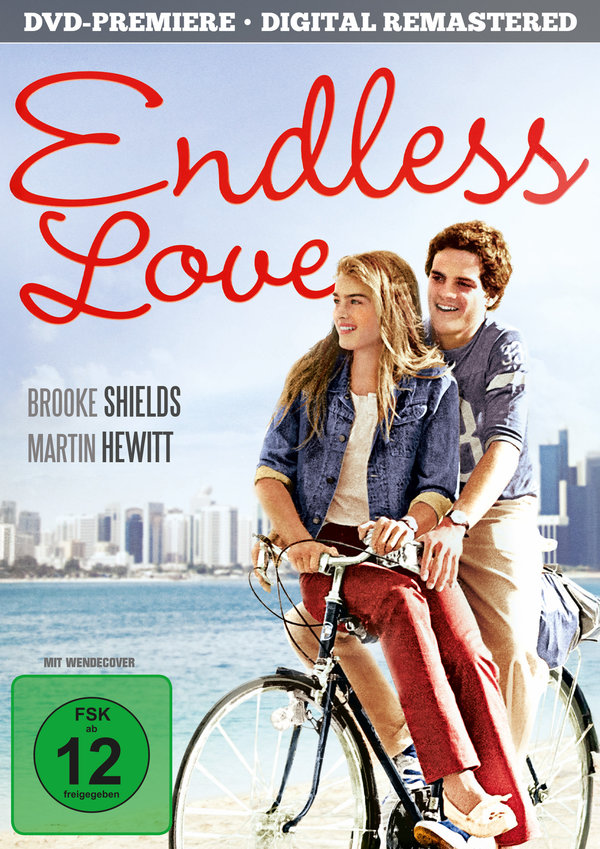 Endless Love  (DVD)