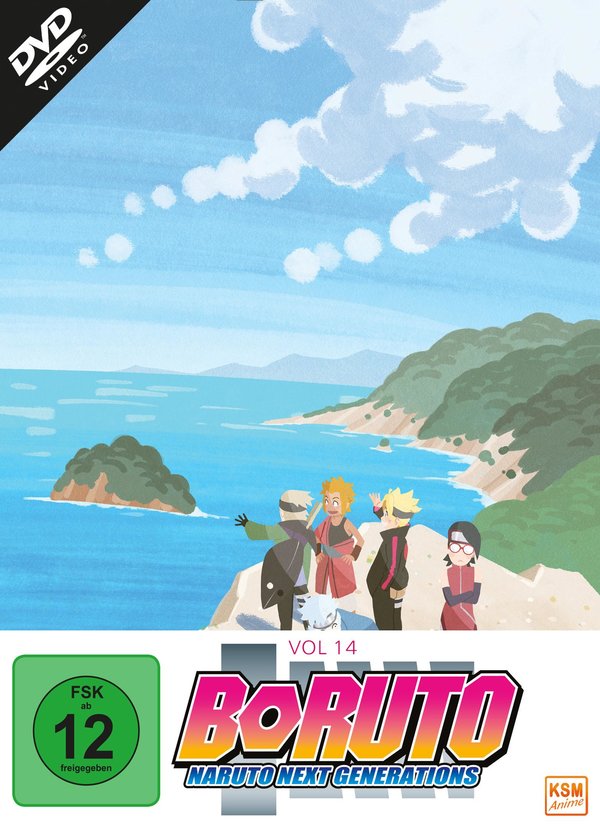 Boruto: Naruto Next Generations - Volume 14 (Ep. 233-246)   (DVD)
