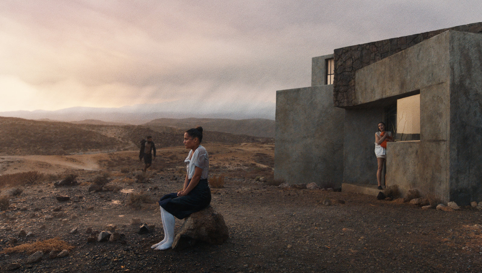 The Assessment  (DVD)