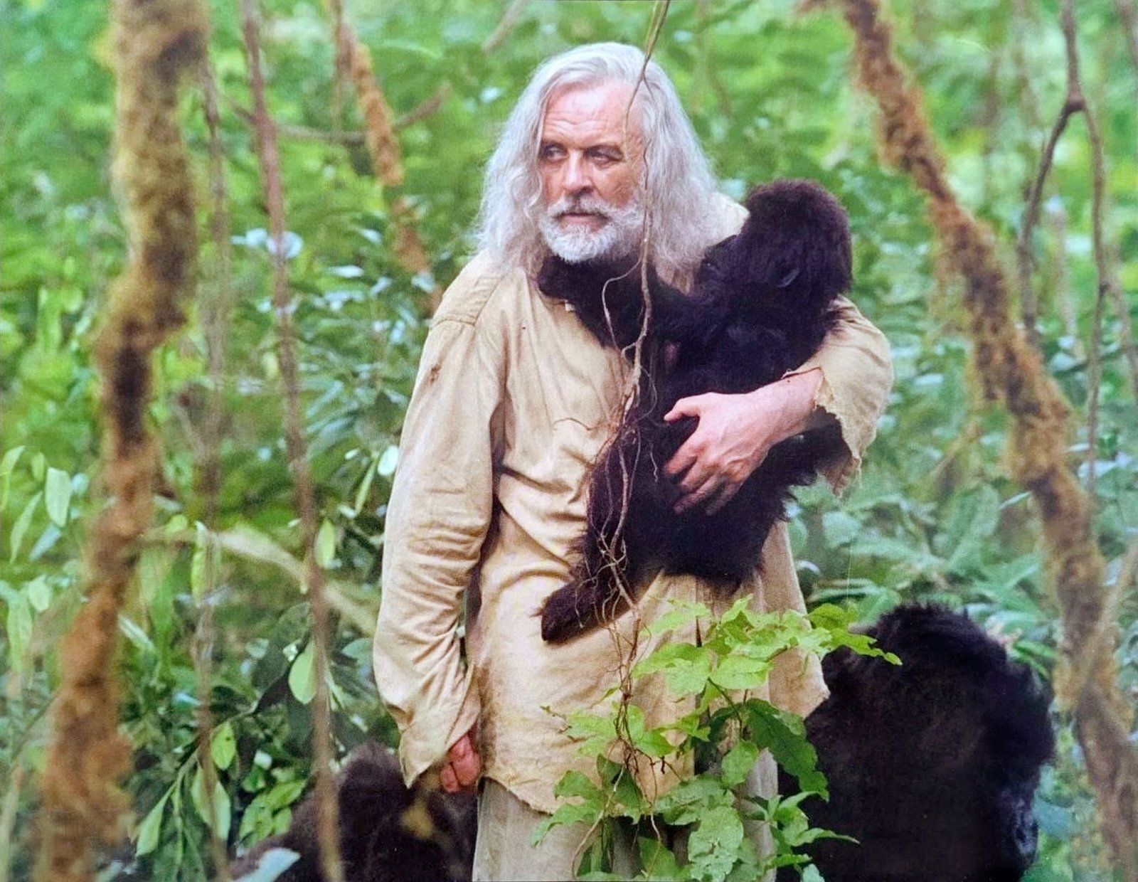 Instinkt (Instinct) (Filmjuwelen)  (DVD)