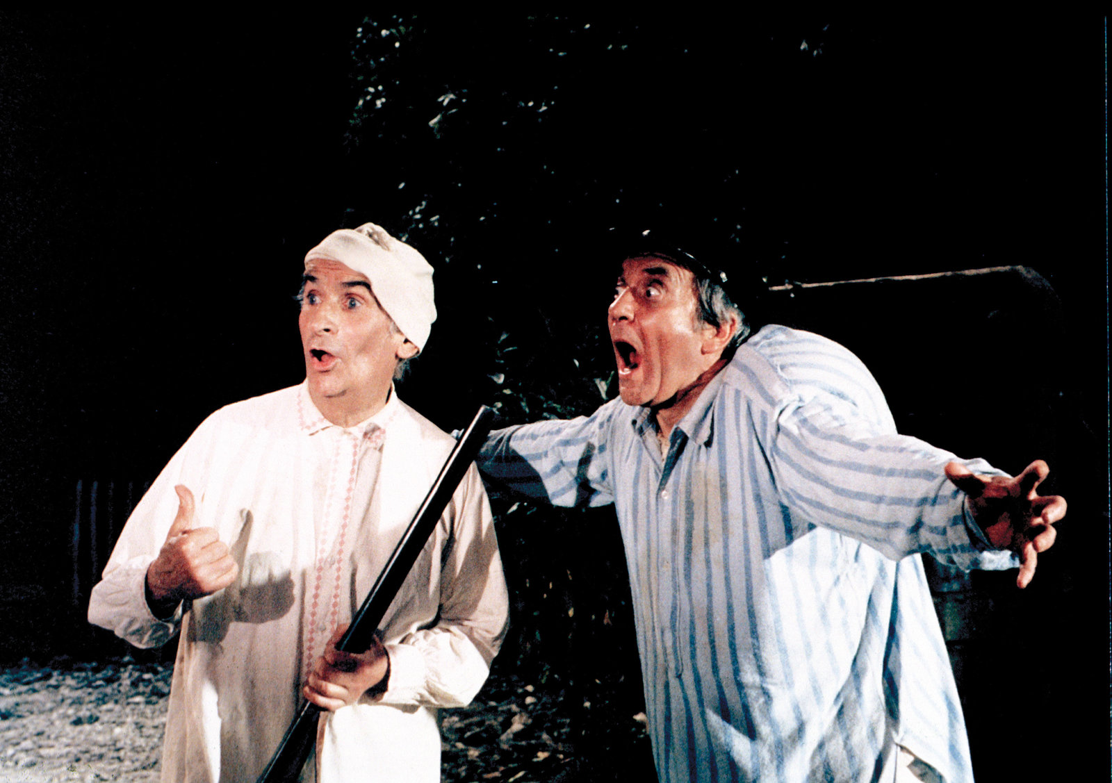 Louis und seine außerirdischen Kohlköpfe - Louis de Funes  (DVD)