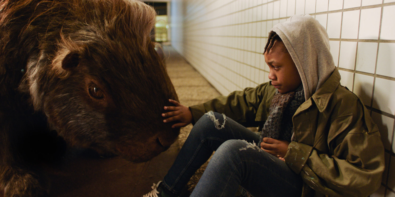 Mein Totemtier und ich  (DVD)