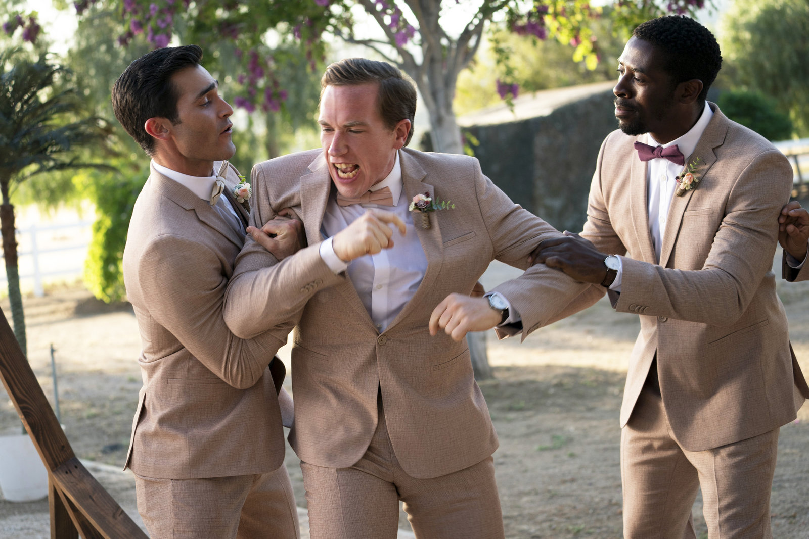 Palm Springs (blu-ray)
