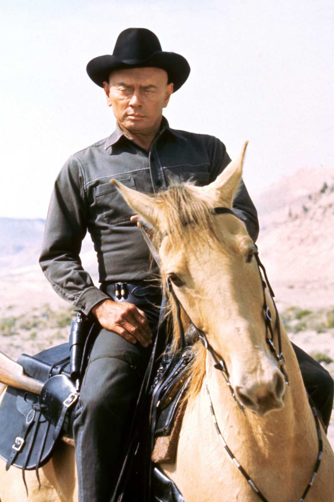 Westworld  (Blu-ray Disc)