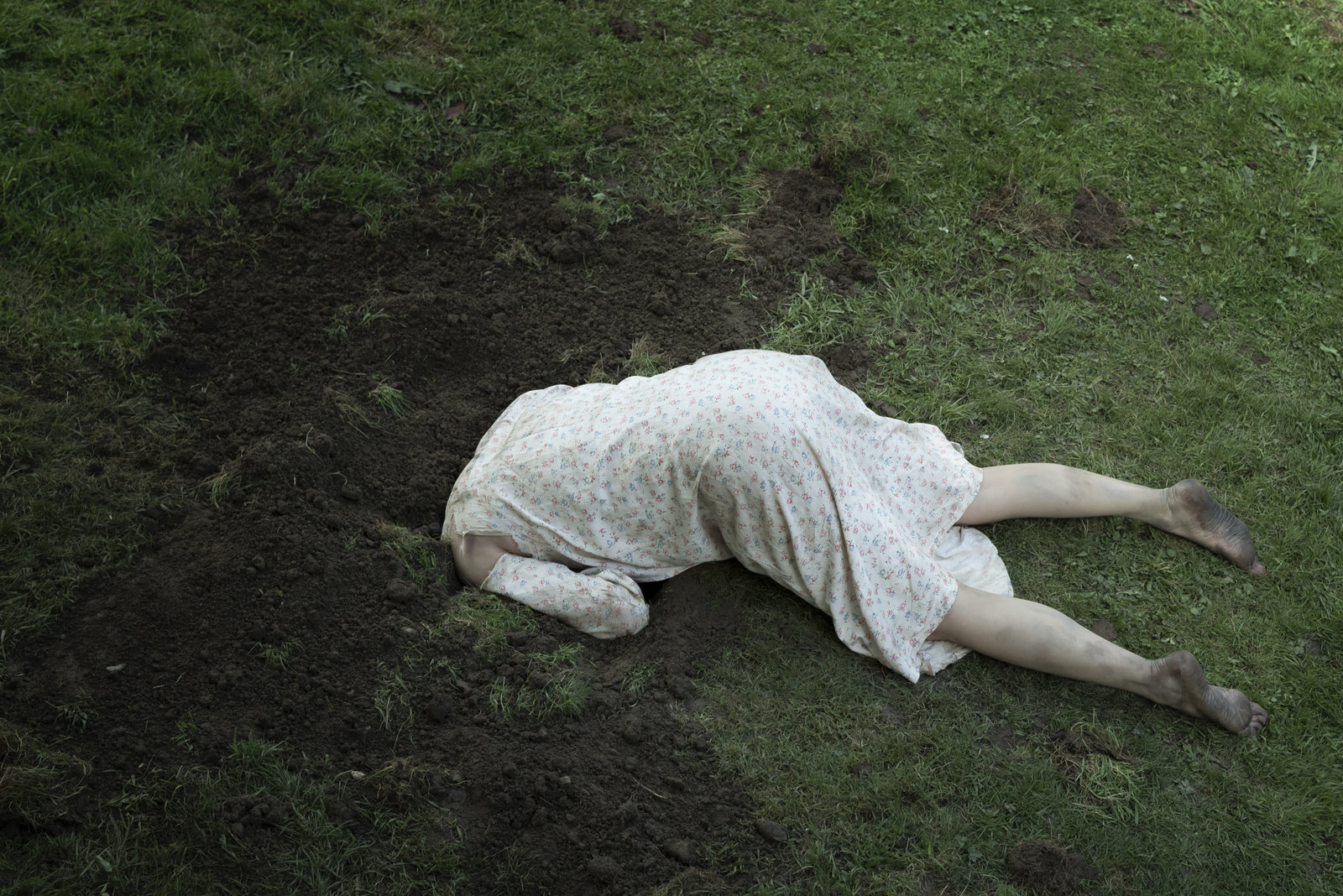 Hole in the Ground, The (blu-ray)