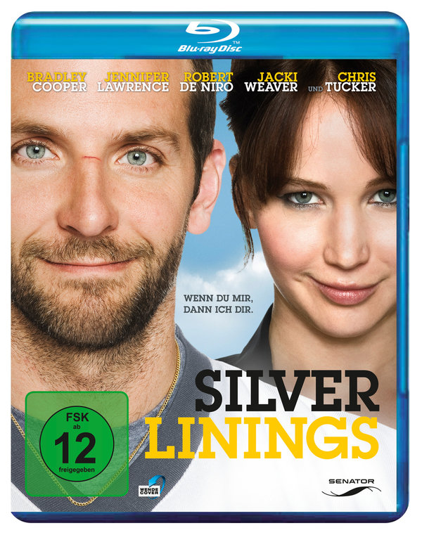 Silver Linings (blu-ray)