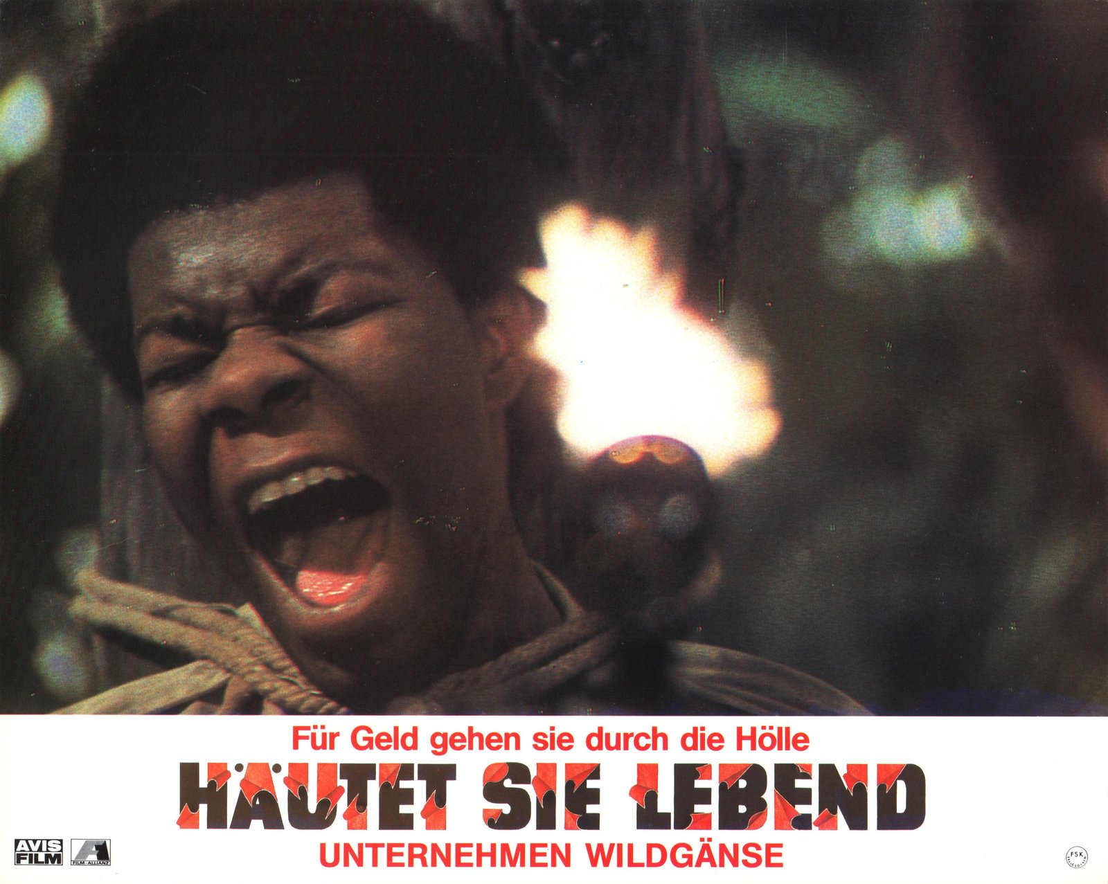 Häutet sie lebend! - Unternehmen Wildgänse  (DVD)