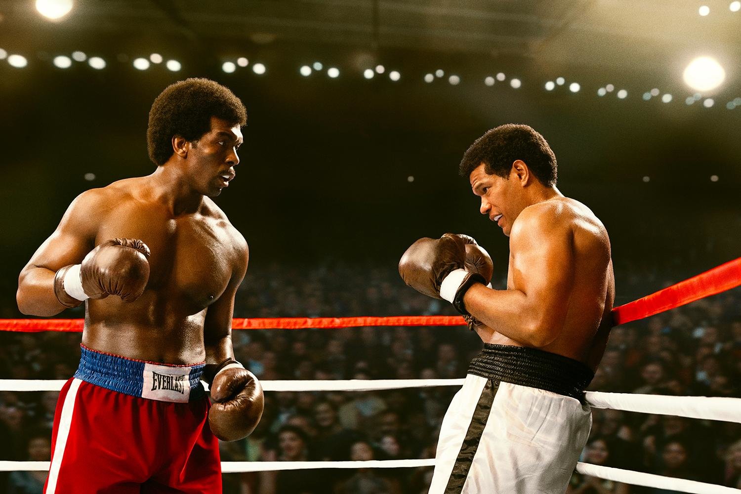 Big George Foreman  (DVD)