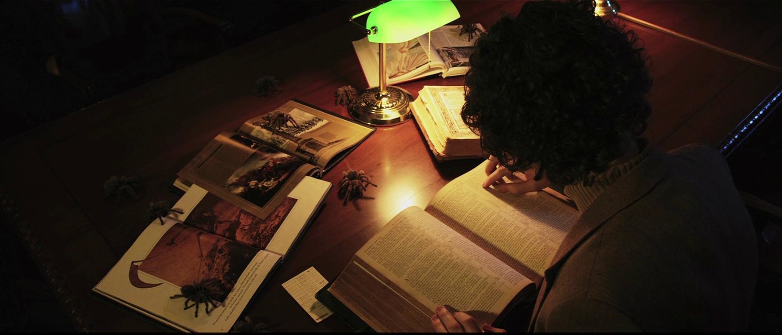 Editor, The (blu-ray)