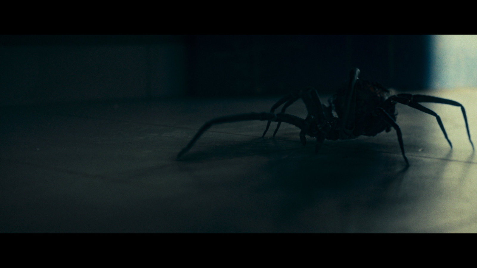 Crawlers - Im Netz der Spinnen  (Blu-ray Disc)