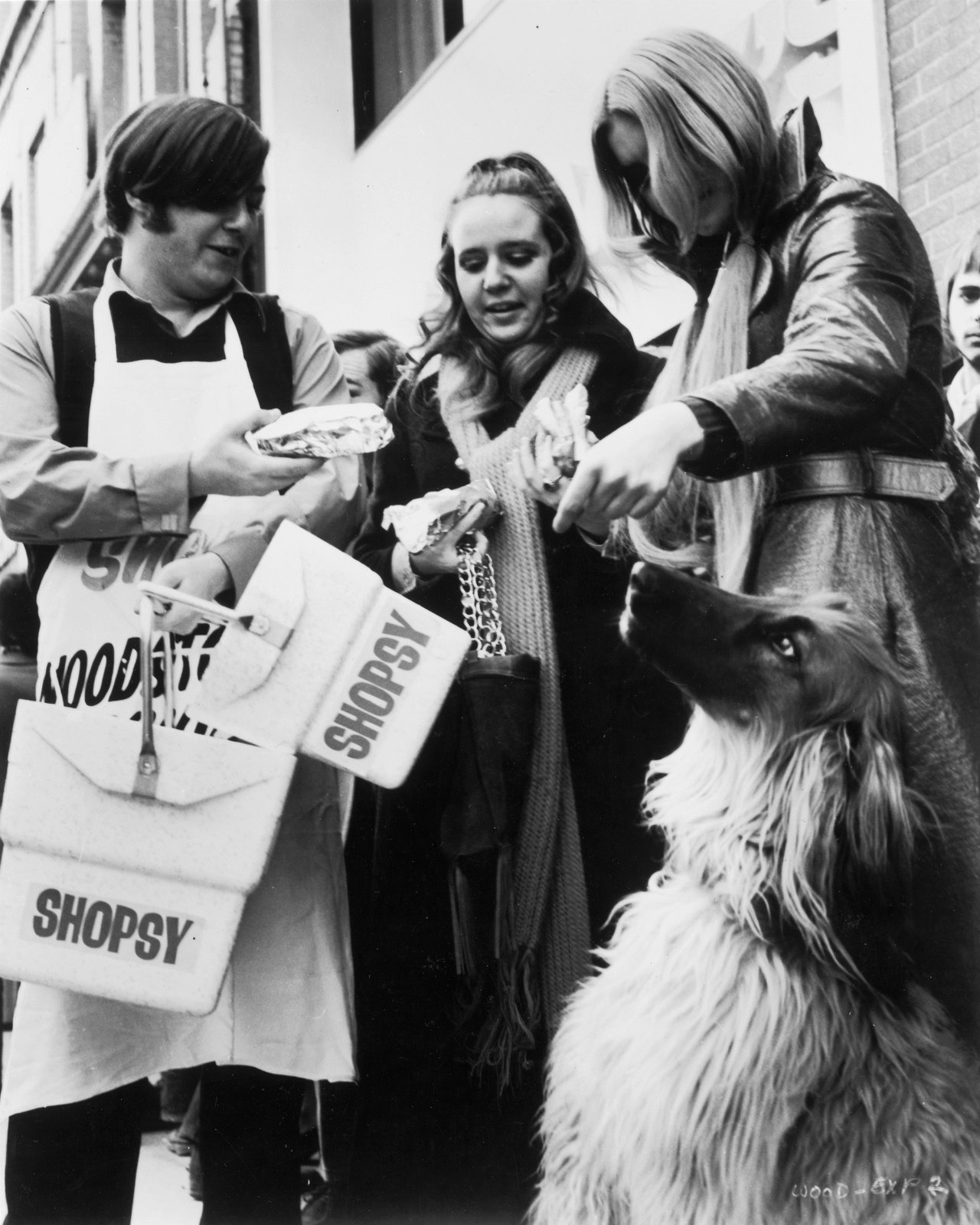 Woodstock - 40th Anniversary Edition  [DC] [2 DVDs]  (DVD)