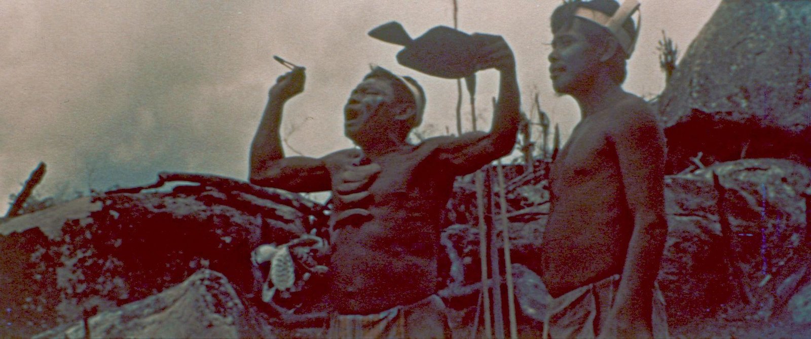 CANNIBALO VENEZUELA  (DVD)