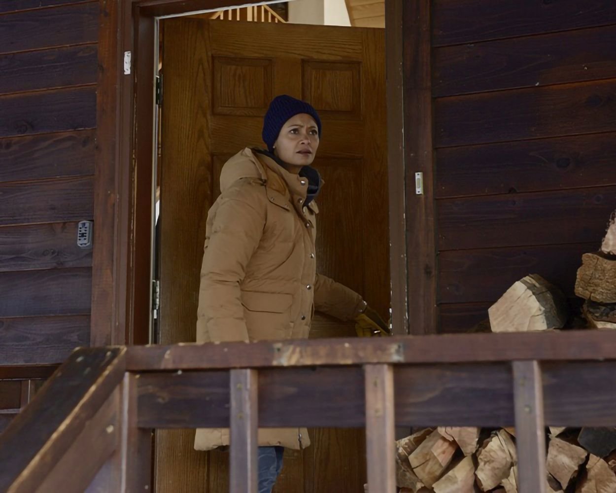 God's Country / Preisgekrönter packender Thriller mit den Stars aus „Yellowstone“ und „Westworld“  (DVD)