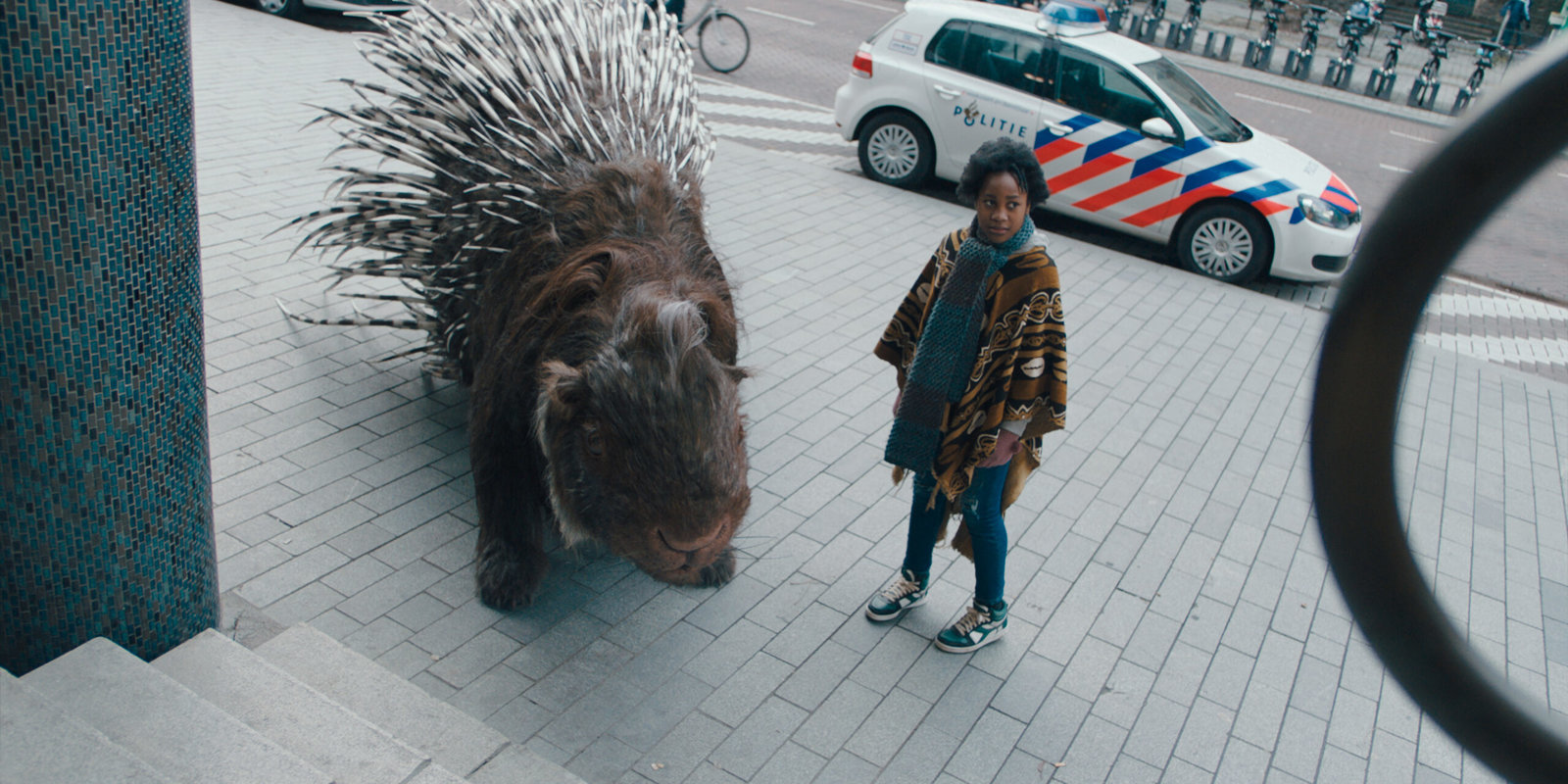 Mein Totemtier und ich  (DVD)