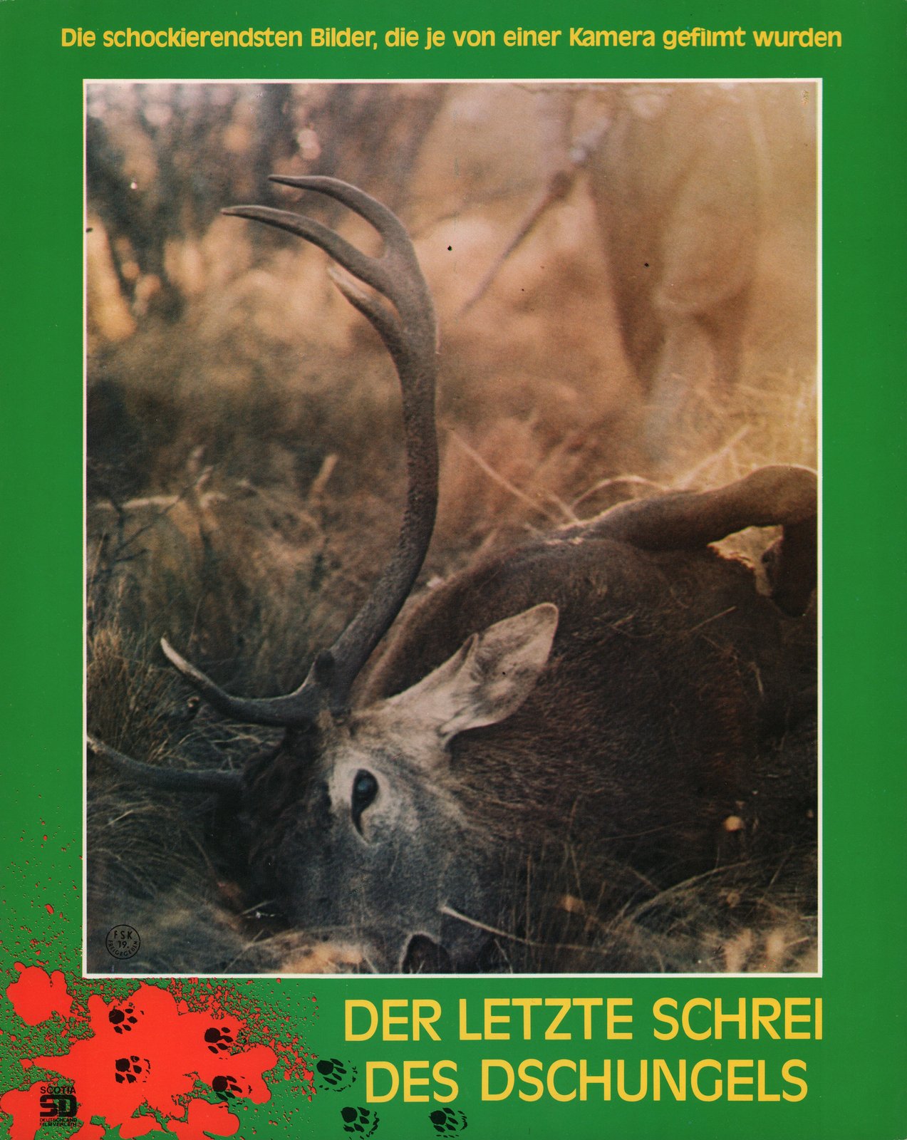 MONDO BESTIALE - DER LETZTE SCHREI DES DSCHUNGELS - Cover B  (DVD)