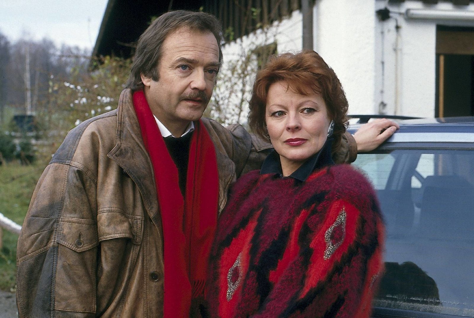 Waldhaus - Die komplette ZDF-Serie in 19 Teilen (Fernsehjuwelen)  [8 DVDs]  (DVD)