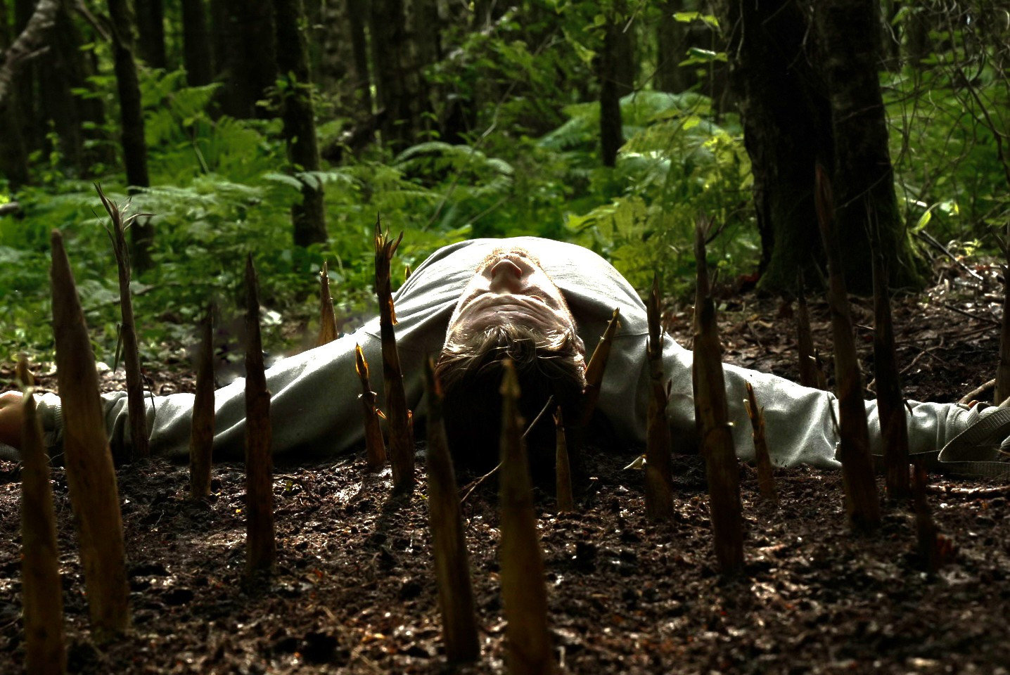 Bamboo Revenge  (DVD)