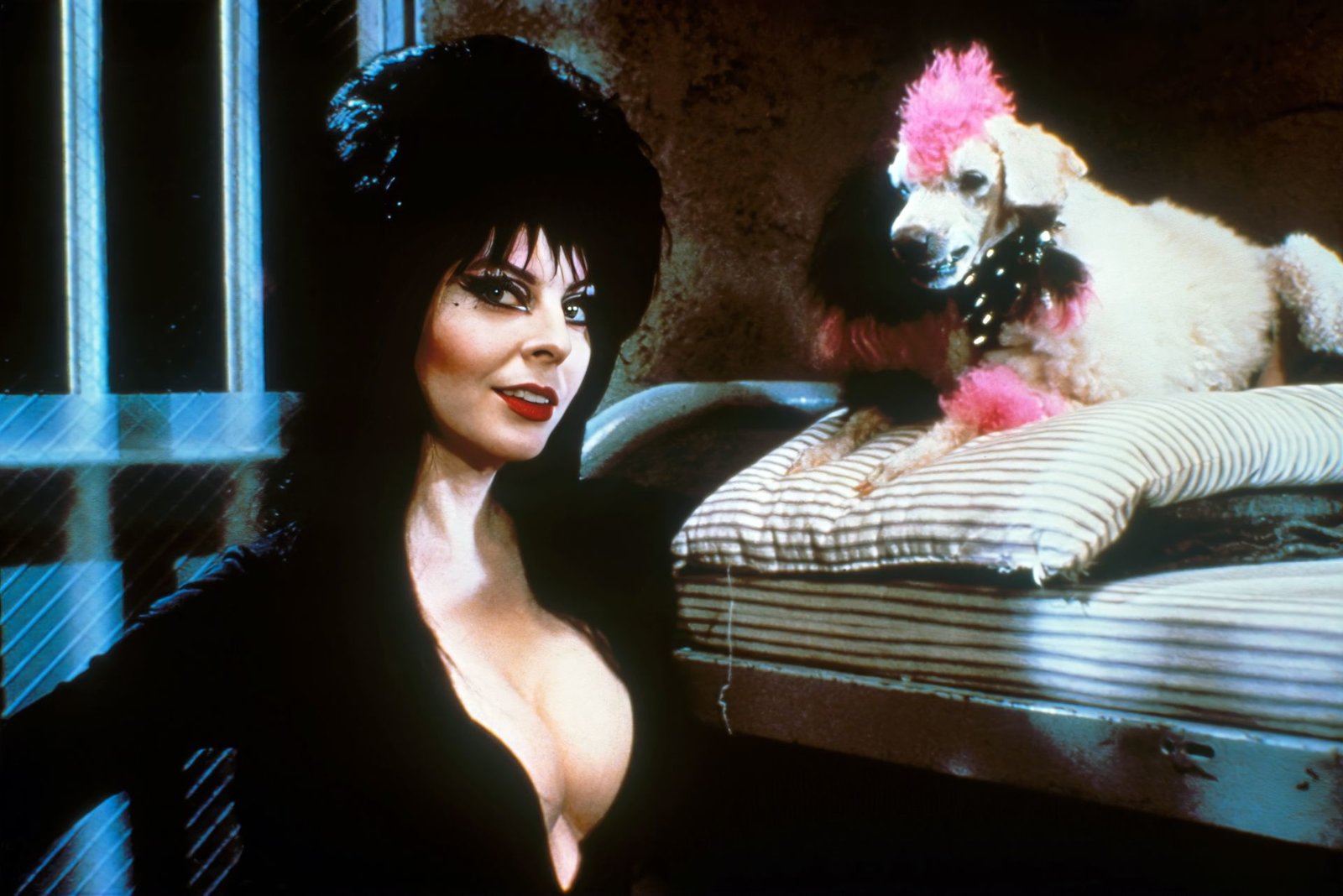 Elvira - Herrscherin der Dunkelheit (inkl. Elvira's Haunted Hills)  [2 BRs]  (Blu-ray Disc)