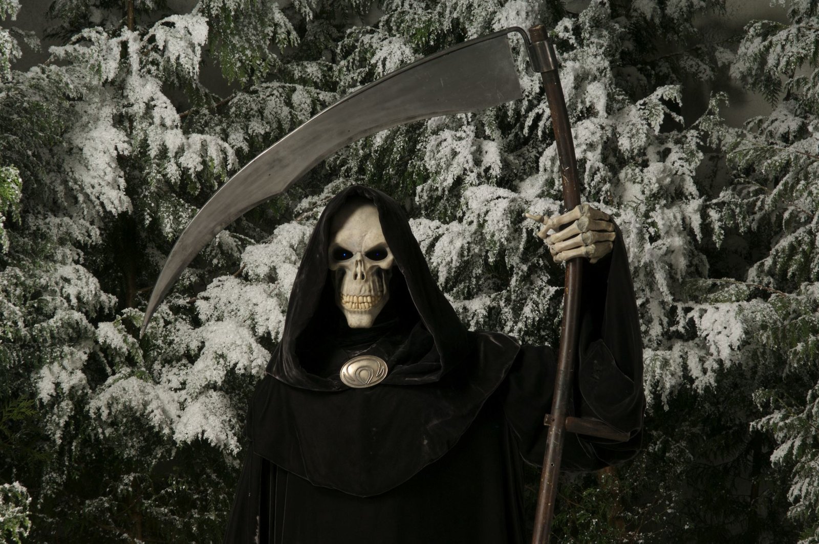 Hogfather - Schaurige Weihnachten  (Blu-ray Disc)