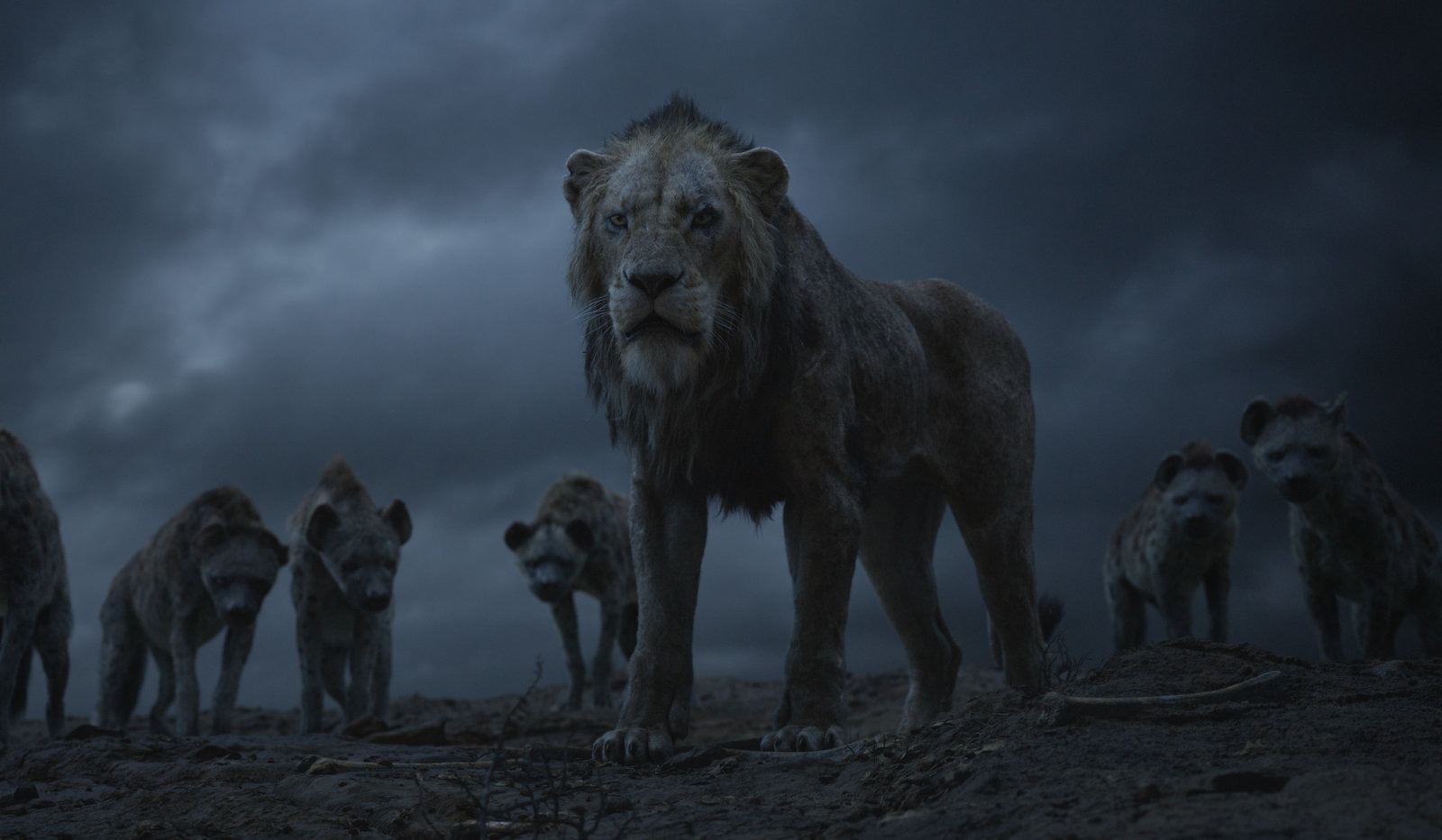 Der König der Löwen (+ Blu-ray 2D)  (Blu-ray 3D)