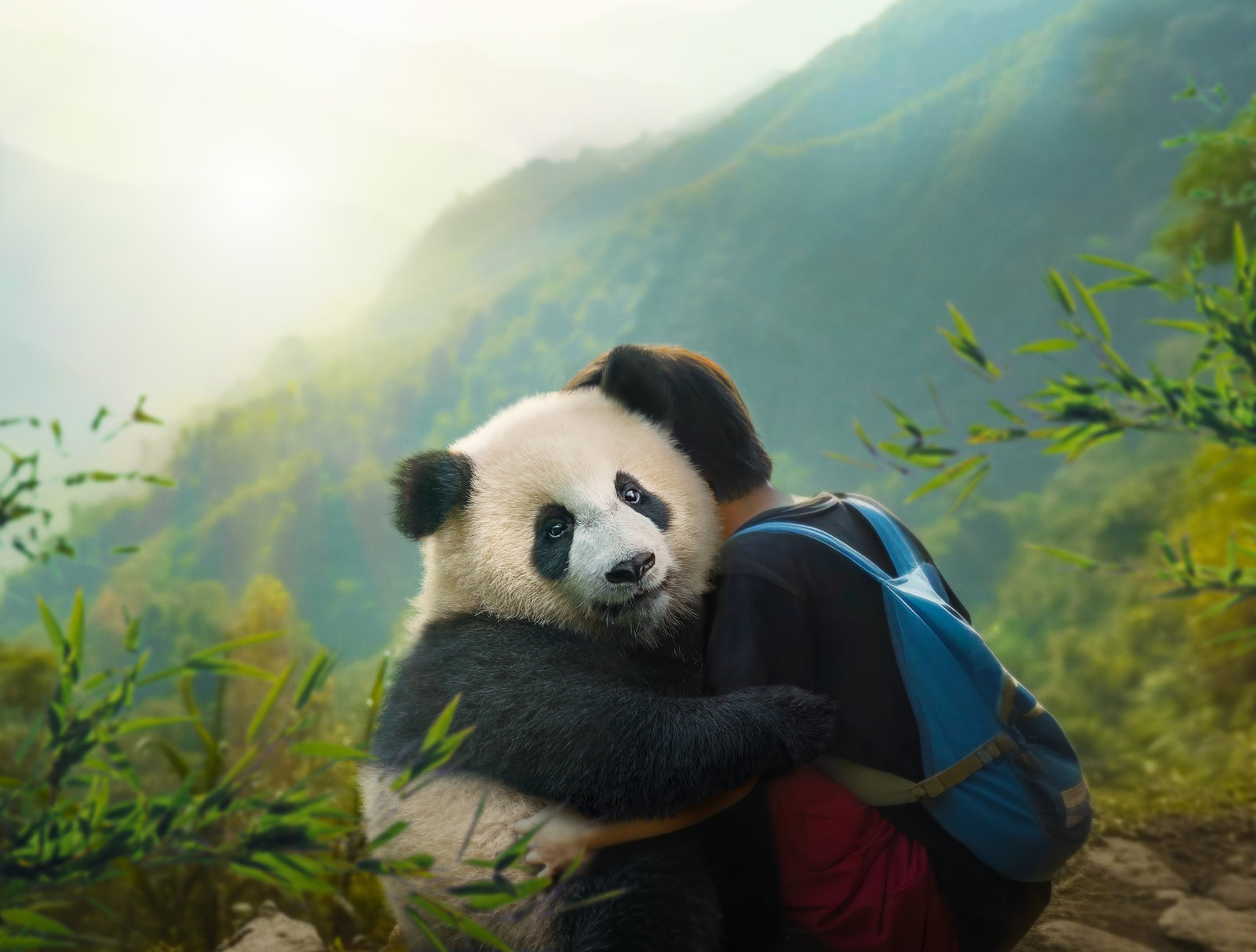 Moon - Der Panda  (DVD)