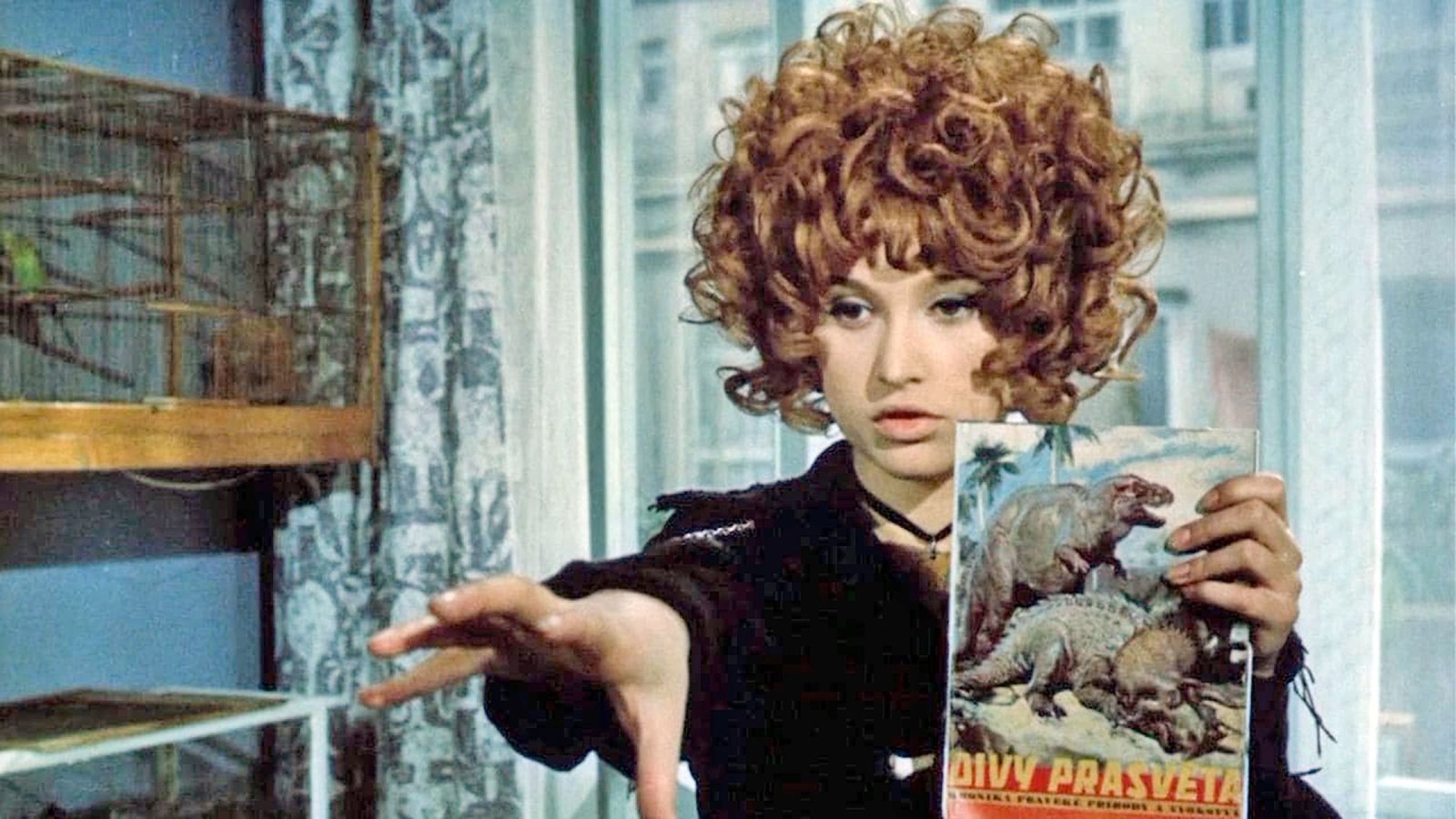 Saxana - Das Mädchen auf dem Besenstiel (Filmjuwelen / DEFA-Märchen) (DVD) Saxana - Das Mädchen auf dem Besenstiel (Filmjuwelen / DEFA-Märchen) (DVD)