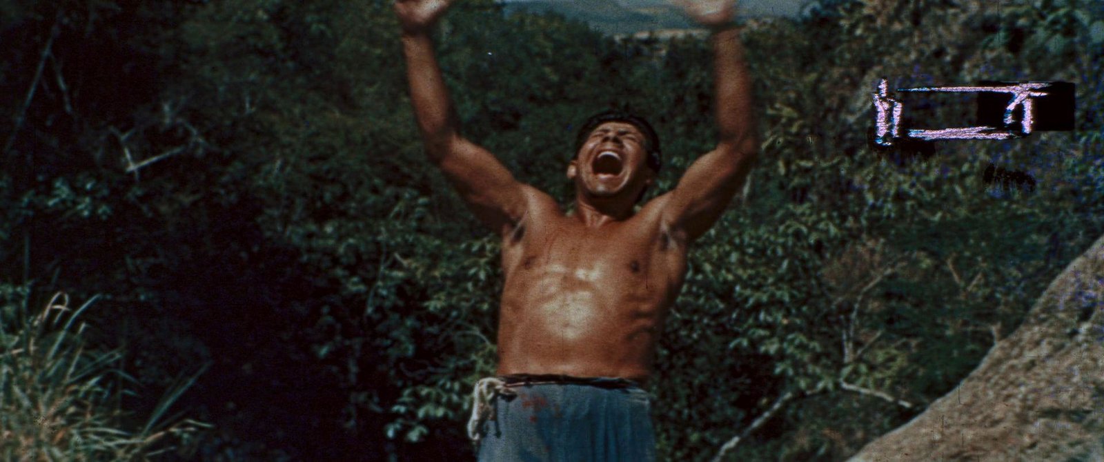 CANNIBALO VENEZUELA  (DVD)