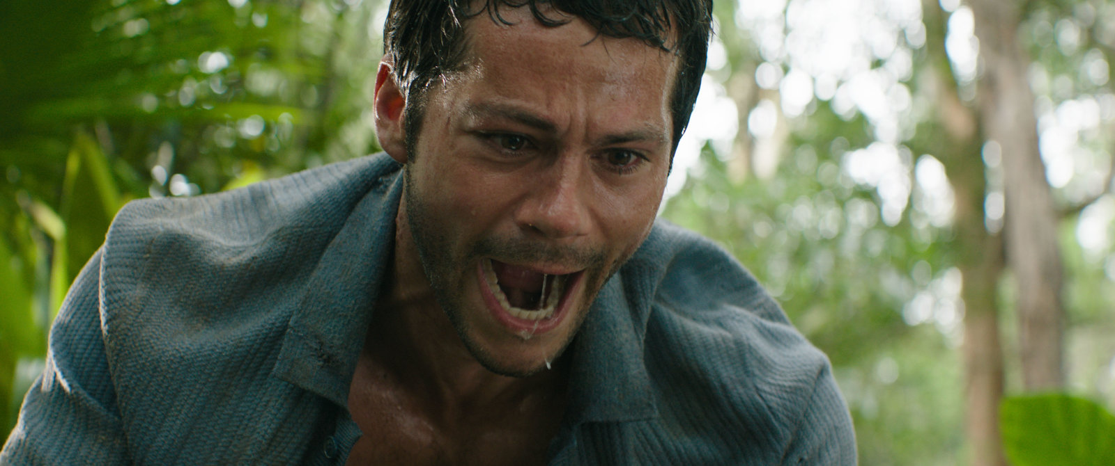 Send Help  (Blu-ray Disc)