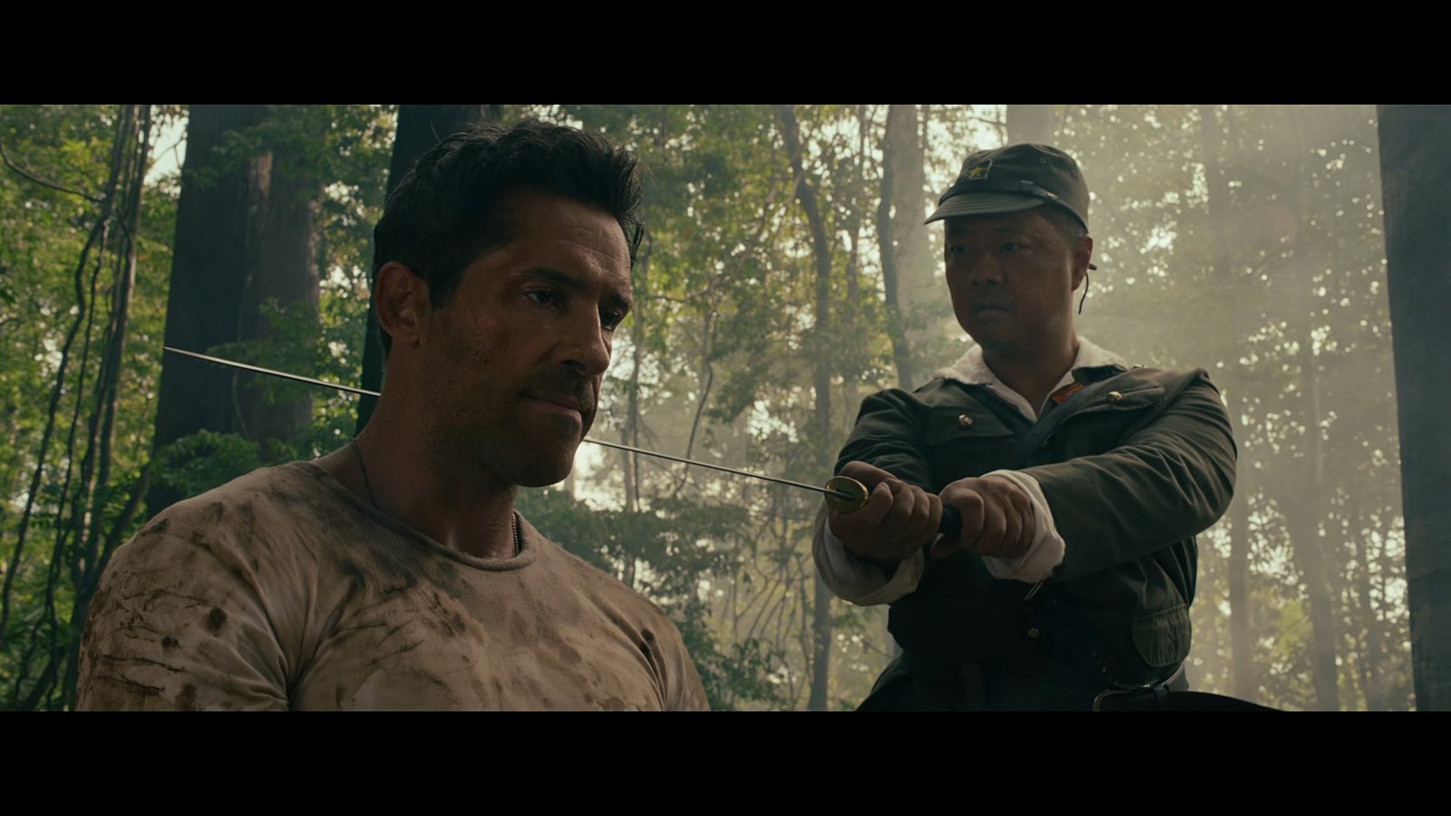 Prisoner of War  (DVD)
