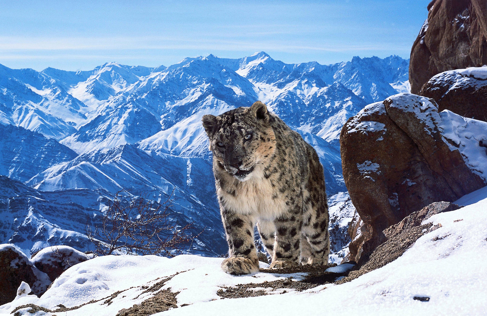 Planet Erde II: Eine Erde - viele Welten  [2 BRs]  (Blu-ray Disc)
