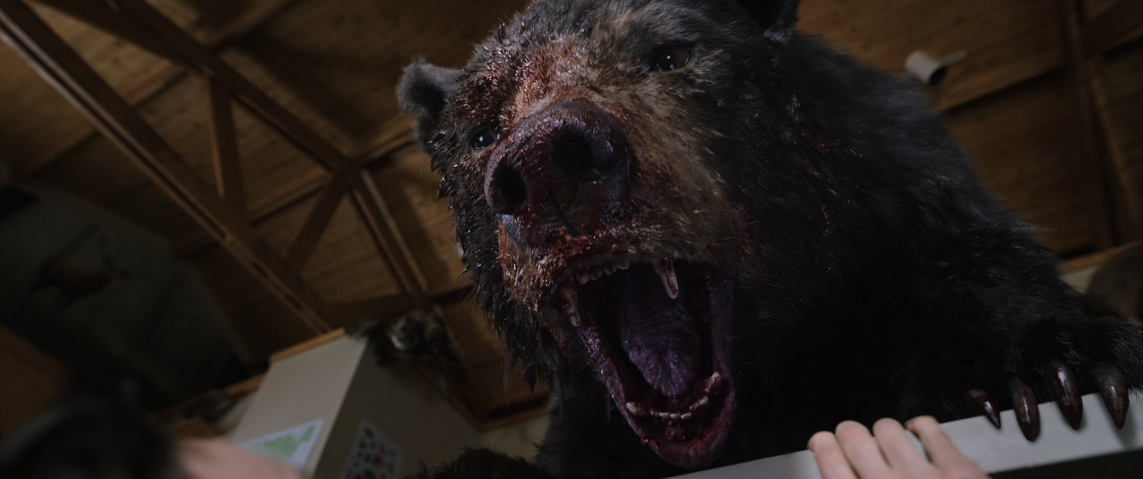 Cocaine Bear - Uncut Mediabook Edition  (4K Ultra HD+blu-ray) (B)
