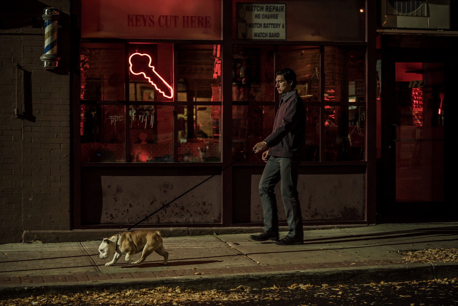 Paterson  (DVD)