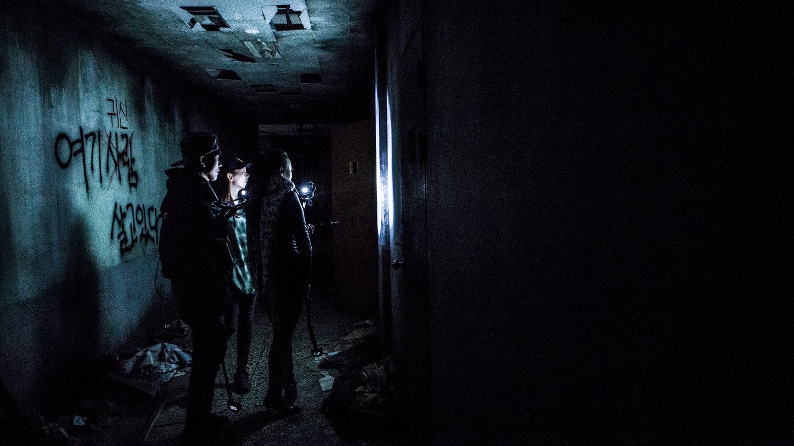 Gonjiam - Haunted Asylum  (DVD)