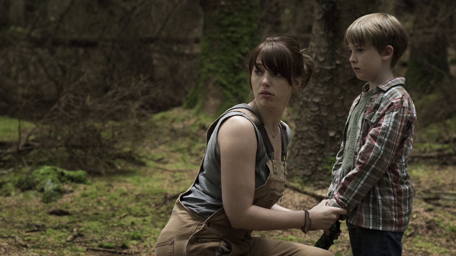 Hole in the Ground, The (blu-ray)