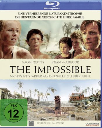 Impossible, The (blu-ray)