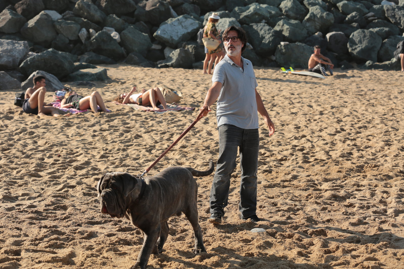 Der Hund bleibt  (DVD)