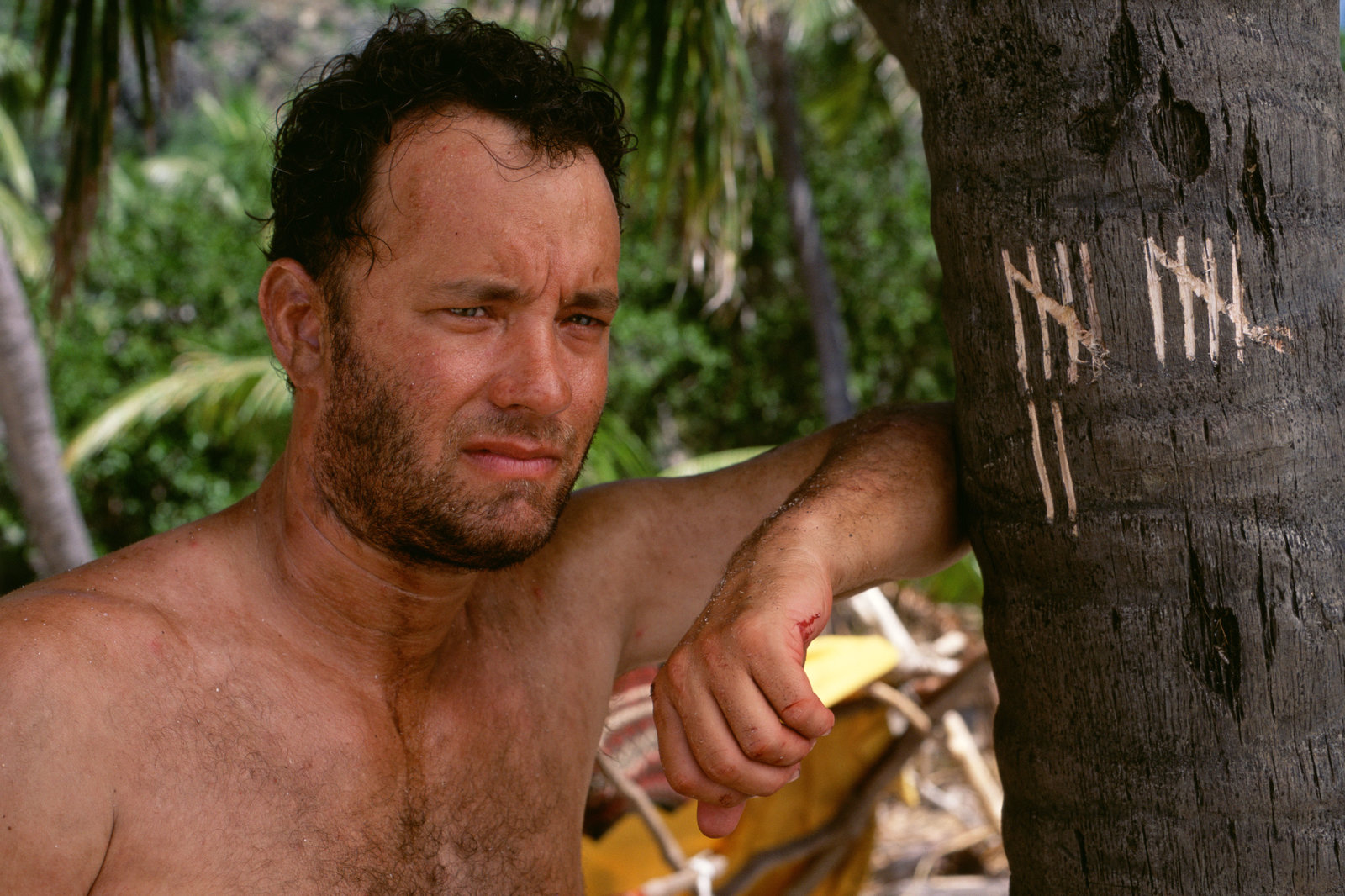 Cast Away - Verschollen  (DVD)